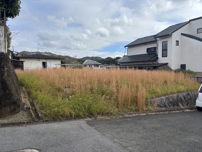 親が昔に買って残してくれた土地。草刈りも大変。