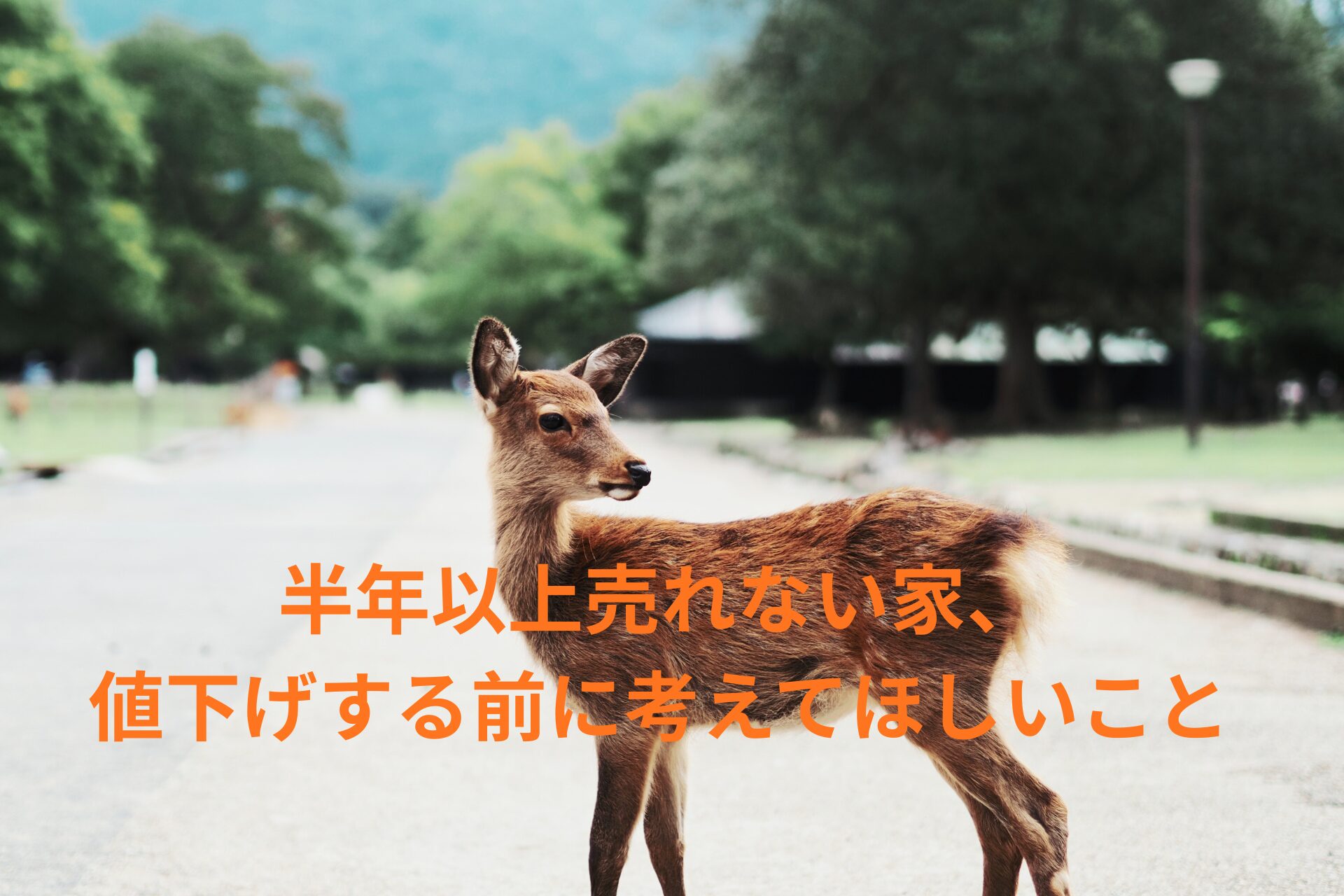 【奈良の不動産売却】半年以上売れない家、値下げする前に考えてほしいこと